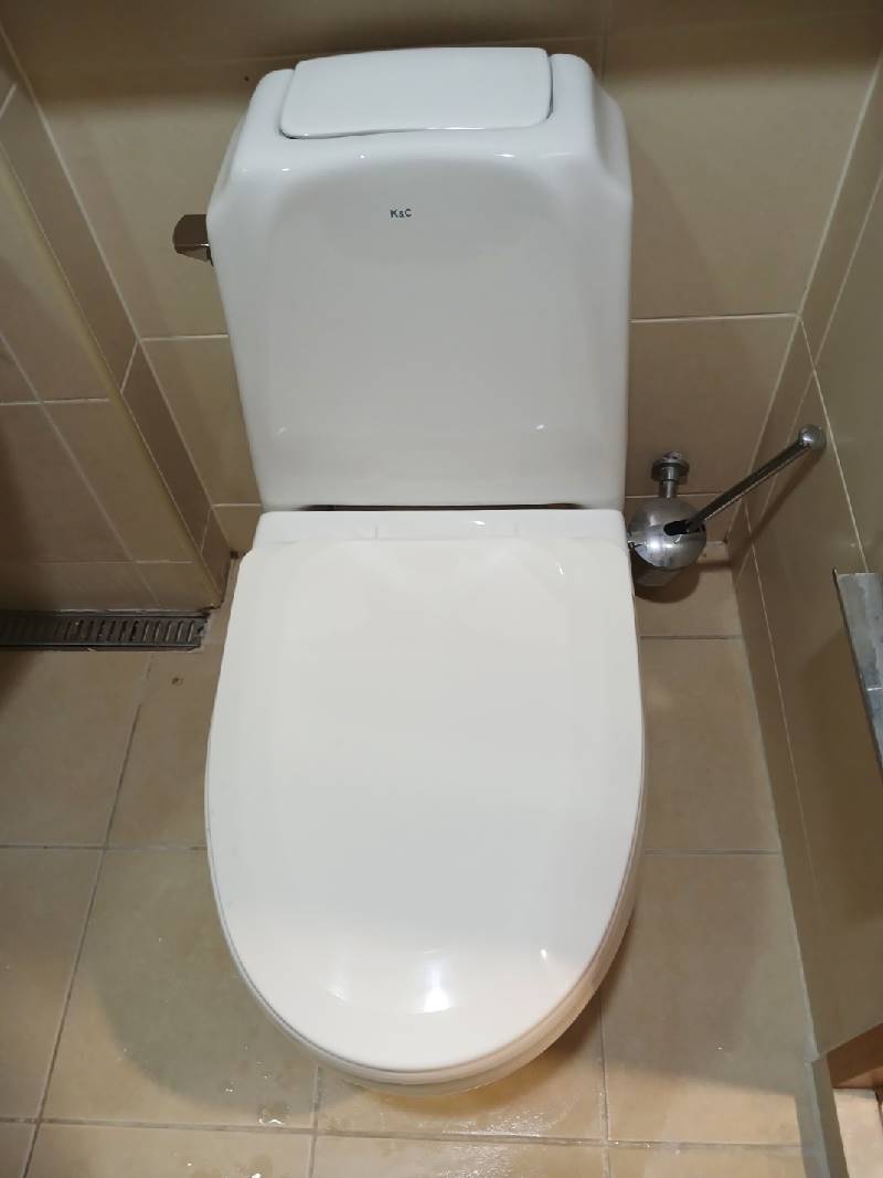 삼죽면 진촌리 배관내시경 원인 진단